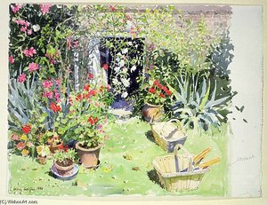 Outside Looking In — Lucy Willis