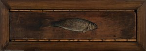 Carp