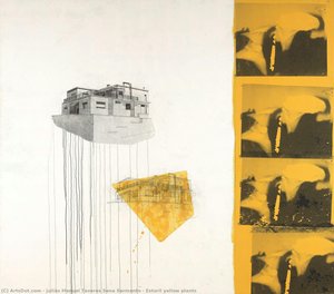 Estoril Yellow Plants — Julião Manuel Tavares Sena Sarmento