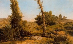 Landscape 5 — Ovidio Murguía De Castro