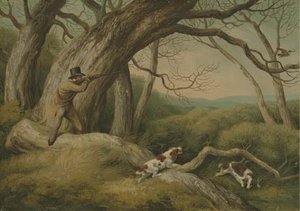 Woodcock Shooting