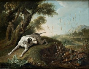 Chien à l'arrêt sur des perdrix