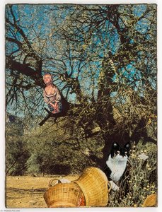Untitled (circle Of Trees) — Joseph Cornell