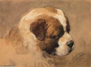 A Study Of A Saint Bernard Puppy — Otto Eerelman