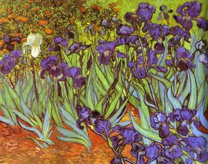 Irises. Sait-rémy — Vincent Willem Van Gogh, Postimpressionism