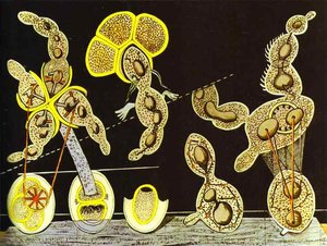 The Gramineous Bicycle Garnished With Bells The Dappled Fire Damps And The Echinoderms Bending — Max Ernst