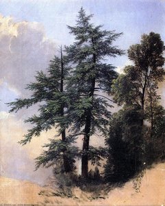 Nature Study, Trees, Newburth, N.y. — Asher Brown Durand, Hudson River School