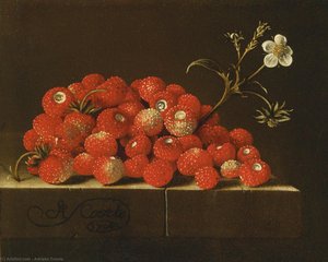 Wild strawberries on a ledge