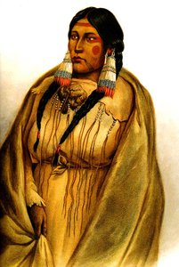 Woman Of The Cree-tribe — Karl Bodmer