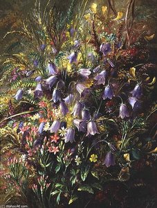 Harebells ^ Other Woodland Flowers ^ Grasses — Albrecht Dürer