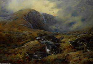 Danger Aloft — Archibald Thorburn
