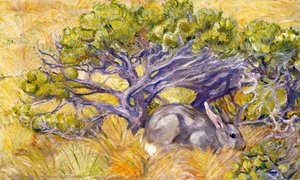 Wild Rabbit — Franz Marc