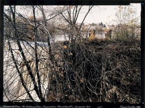 Reservoir 3 On The Sudbury River Framingham, Mass., January, 1990 — Frank Gohlke