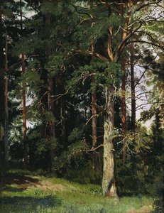 Forest (14) — Ivan Ivanovich Shishkin, Realism