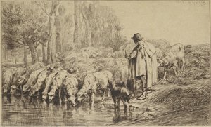 Sheep Drinking. — Charles-émile Jacque, Barbizon Landscape School