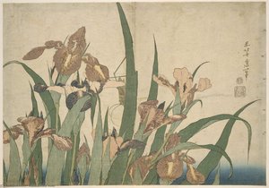 Irises And Grasshopper — Katsushika Hokusai