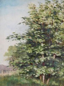 Trees In A Meadow — Catherine Maude Nichols