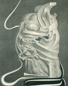 Untitled (3164) — Ernst Fuchs