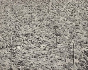 Arizona Landscape, 1945 (gelatin Silver Photograph) — Frederick Sommer
