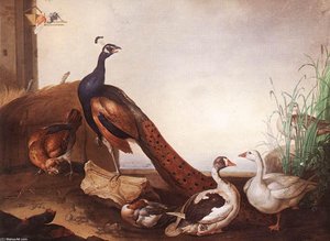 Peacock With Geese And Hen — Jakab Bogdány, Baroque