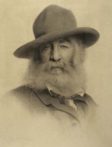 Walt Whitman — Thomas Wilmer Dewing, Tonalism