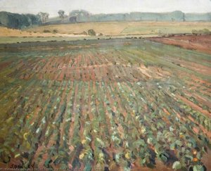 A Field Of Swedes — John Gilbert Donley