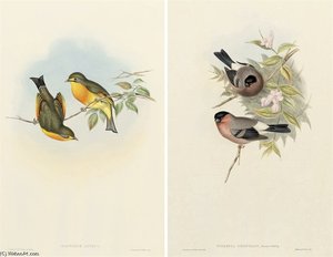 The Birds Of Asia — John Gould