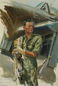 Wing Commander John Ignatius Kilmartin, Dso, Seac (south East Asia Command) — Frank Wootton