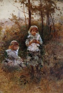 In The Woods
