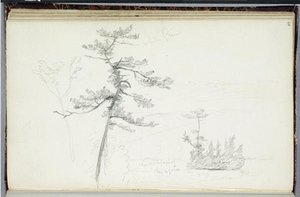 White Pine, Niagara — Thomas Cole, Hudson River School
