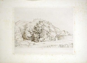 Sleeping Lion 1 — John Frederick Lewis