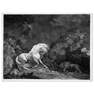 A Horse Affrighted By A Lion — George Stubbs