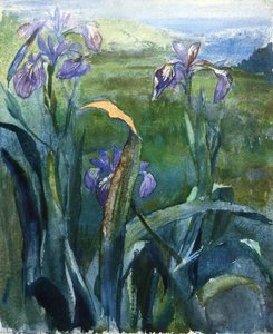 Blue Iris, Study — John La Farge