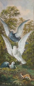 Weasel Attacking Pigeon's Nest — Alfred Worthington