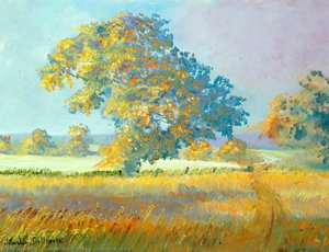 Summer Evening — Stanley Ernest Dollimore