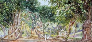 Bauhinia Creeper Crushing Tombs, Saharanpur, India — Marianne North