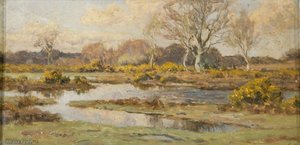 Heath With Standing Water — Frederick Golden Short