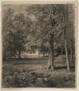 Swampy Land And Trees — William Trost Richards
