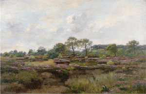 Heather Landscape — Pierre-emmanuel Damoye
