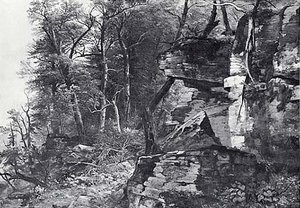 Landscape With Rock And Trees, (painting) — Asher Brown Durand