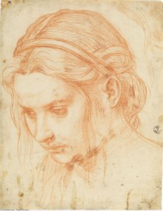 Caricatura De Renée Peron — Pablo Picasso, Cubist Portrait
