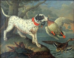 Anatre Selvatiche Cacciate Da Un Cane — Philipp Ferdinand De Hamilton
