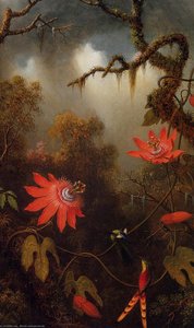 Two Hummingbirds Perched On Passion Flower Vines — Martin Johnson Heade