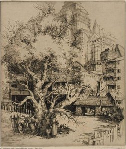 Last Tree — Mildred Bryant Brooks