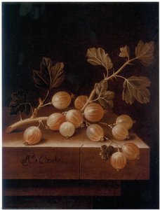 English Gooseberries