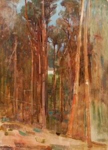 Woodland — Benjamin Haughton