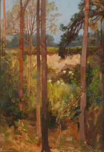 Trees In A Quarry — Benjamin Haughton
