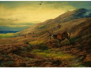 In The Highlands, Red Stag Mobbed By A Pair Of Peregrines — Archibald Thorburn
