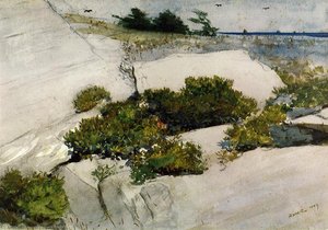Maine Cliffs — Winslow Homer