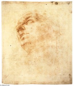Study Of A Head Looking Upward (recto) — Michelangelo Buonarroti, High Renaissance